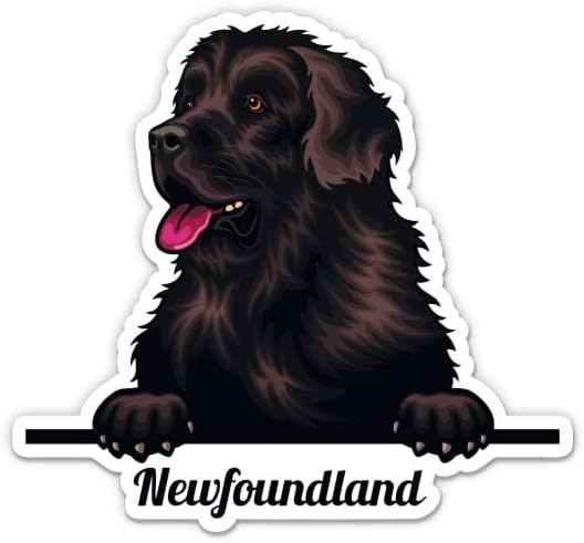 מדבקת כלבים של ניופאונדלנד - מדבקת מחשב נייד 5 - ויניל אטום למים לרכב, טלפון, בקבוק מים - מדבקות ניופאונדלנד