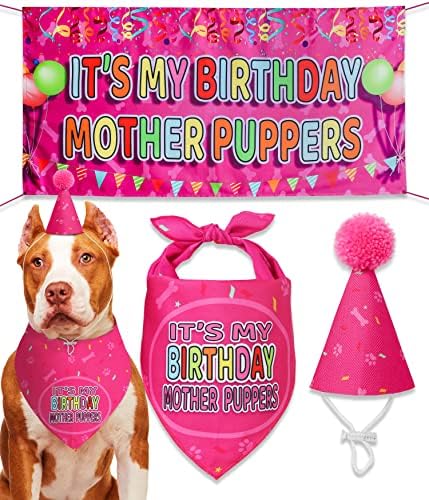ציוד למסיבות יום הולדת לסגנון ODI בסגנון ODI - סט מתנה של ילדת יום הולדת כלב - יום הולדת לכלב בנדנה לכלבים