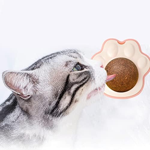 את חתול מנטה צעצוע כדור משחיקת שיניים את חתול רגל צורת שיניים את חתול ליקל מוסיקה צעצוע חתול