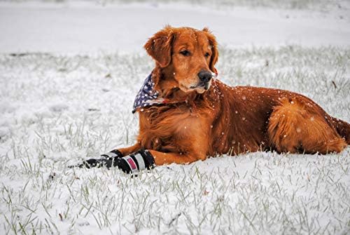 כל מגפי כלבים של מגן ניאופרן פאו -מזג אוויר עם רצועות רפלקטיביות ב -5 גדלים!