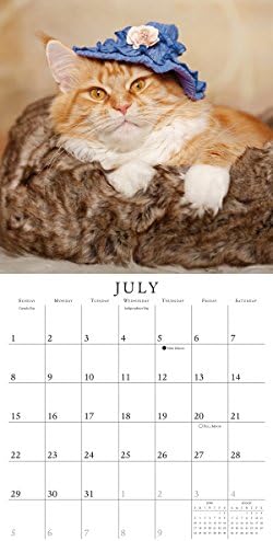 לוח שנה לחתולים בכובעים 2018