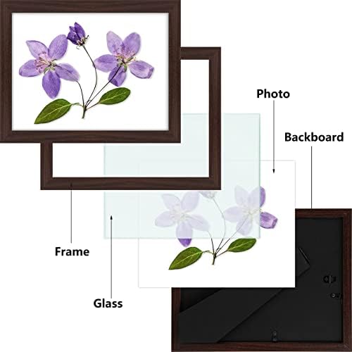 Frametory, 8.5x11 מסגרת תמונה עם זכוכית, שולחן שולחן וקיר תצוגה אופקית או אנכית, 8 1/2 x 11 מסגרת תמונה לתעודה,