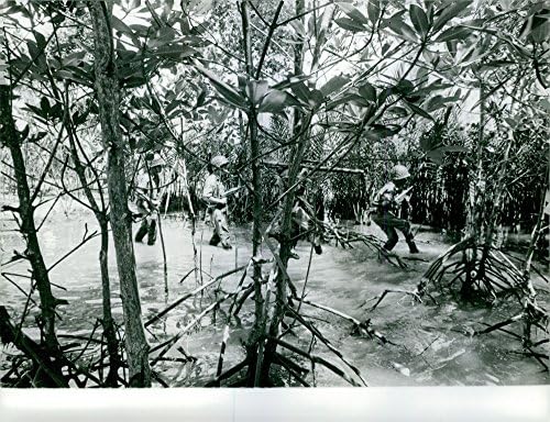 צילום וינטג 'של הצבא האינדונזי בסצנת מלחמה. 25 ביוני 1962